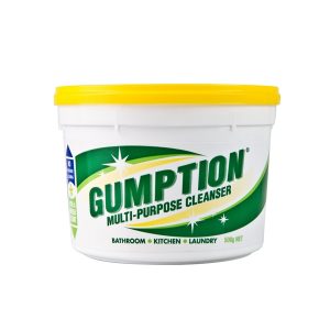 Gumption Paste Cleaner 500g